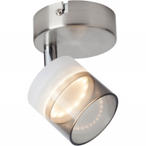 Спот Toplight TL1230Y-01SN